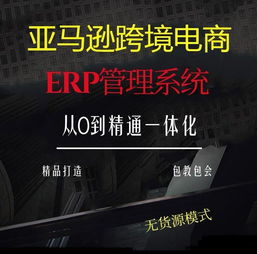 河南出售亞馬遜erp管理系統(tǒng)一對(duì)一指導(dǎo)包教包會(huì)